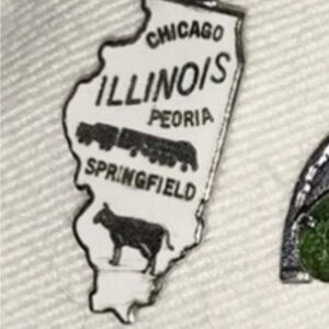 Add to your Charm Bracelet Silver Illinois Map